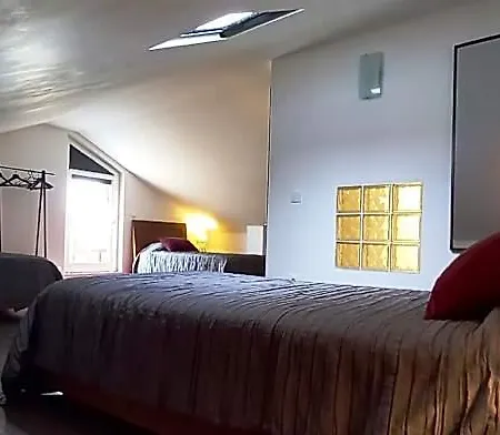 Hotel Friendly 4*