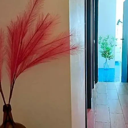 Hotel Friendly 4*